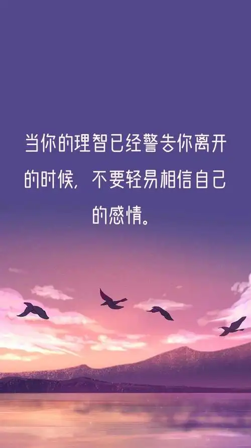 恋爱本就是为了追寻幸福,而不是一味的乞讨!