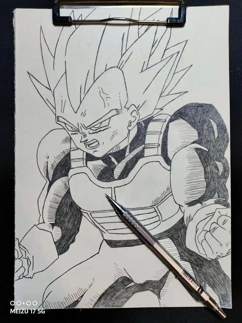 画的一般,多多指教.贝吉塔#手绘 #日常瞎画 #龙珠 - 抖音