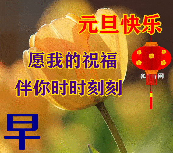 12月30日早上好动态表情图片大全早晨好动图美图大全