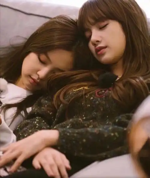 真傻cp有谁和我一样喜欢她们两个cp