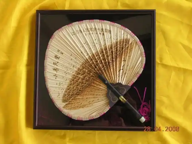 广东新会的葵扇,葵叶圆正,葵柄细匀,生产 - 蘑菇街