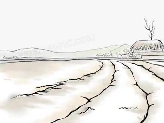 手绘田地