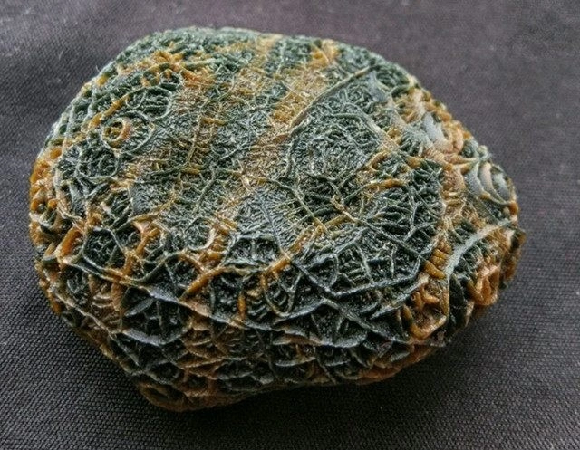 男子戈壁探险发现一"罕见奇石",仔细一看,直接带回家