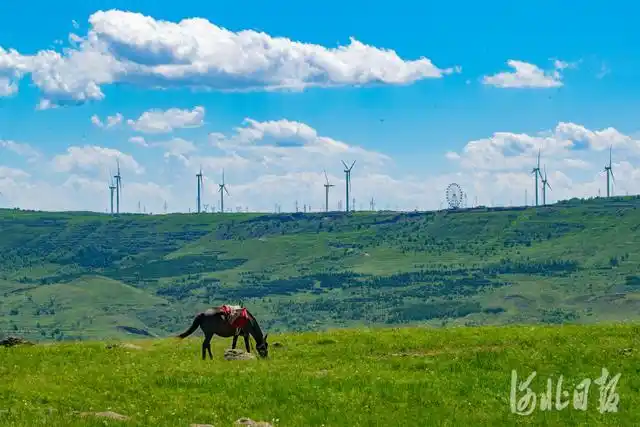 按图索冀|坝上草原天路美