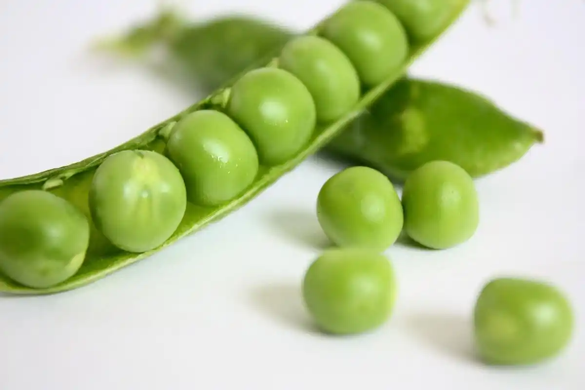 peas-2686_1280