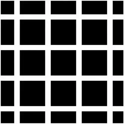 史上最难眼力测试这张图里的12个黑点你永远也找不全