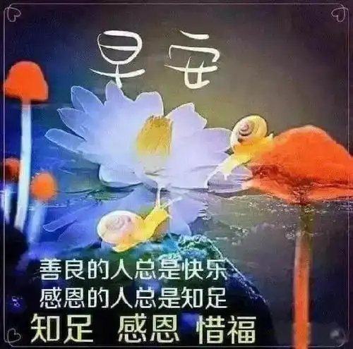 清晨早上好问候语大全最新 春季早安温馨祝福语好看的图片带字