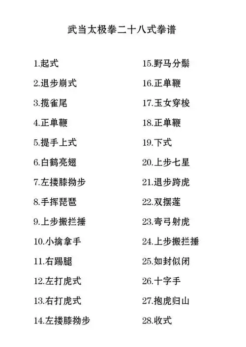 武当太极拳二十八式