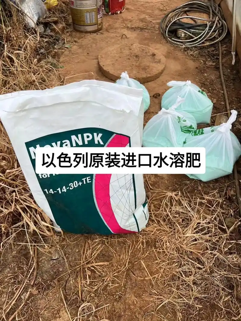 以色列原装进口水溶肥 爱普 诺普丰 平衡19-19-19 高 - 抖音