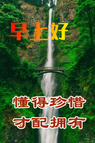 3月31日最漂亮早上好动态表情图片大全早晨好动图美图大全