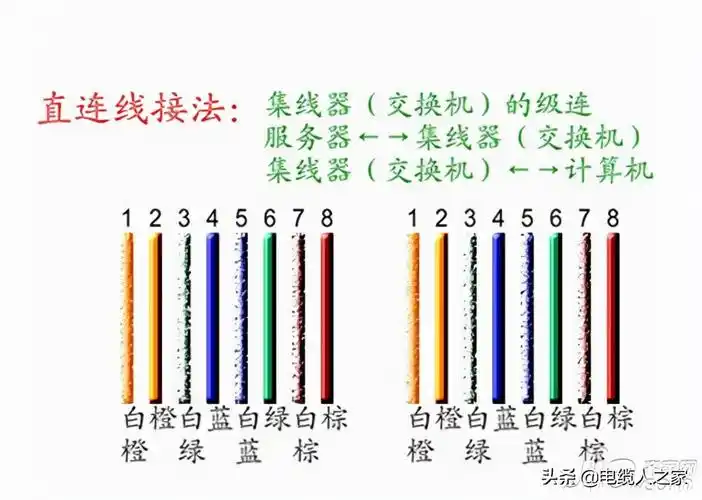网线水晶头接法(水晶头正确接线方法)-世界十大之最