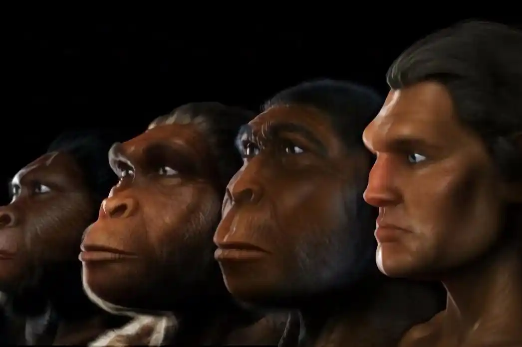 猿进化到人的过程中有13万年"空白期",这期间发生了什么?