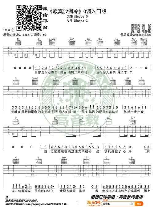 寂寞沙洲冷吉他谱_周传雄_g调入门版_弹唱谱