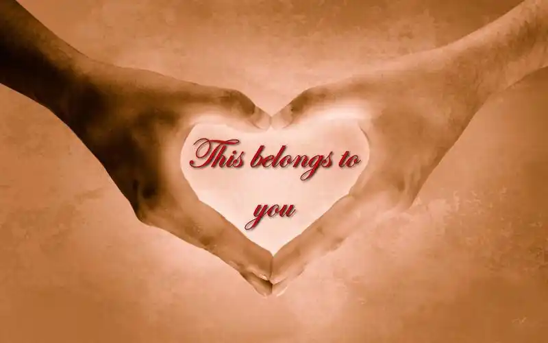 七夕情人节浪漫的爱情高清电脑桌面壁纸