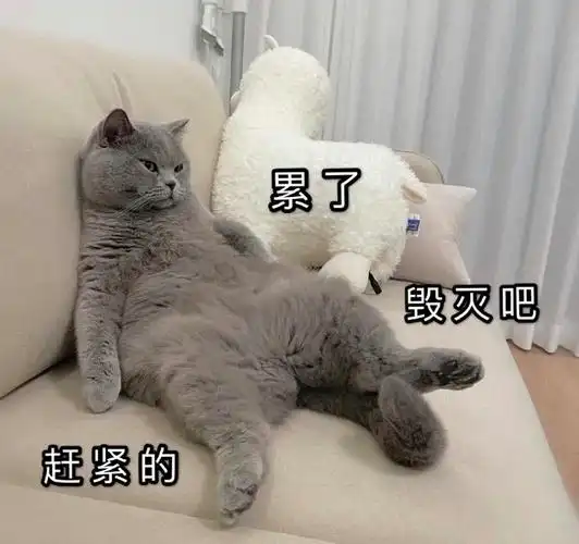 赛后讨论毁灭吧赶紧的累了