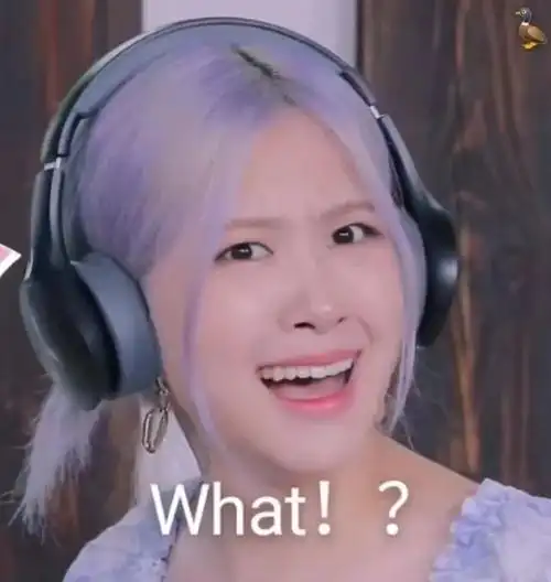 情包沙雕rosé朴彩英系列