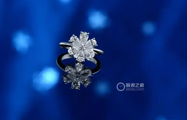 海瑞温斯顿勿忘我frdprfflrfmn戒指(35 / 38)