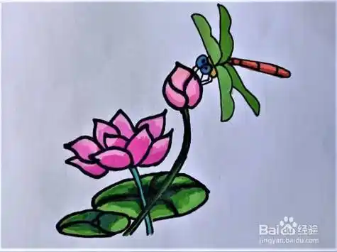 小蜻蜓怎么立在荷叶上的画