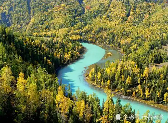 中国最美湖泊之一,十大秋景之首,阿勒泰喀纳斯,真有水怪么?