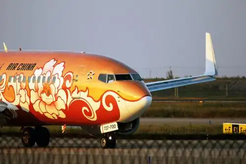 是国航牡丹彩绘系列机之一.