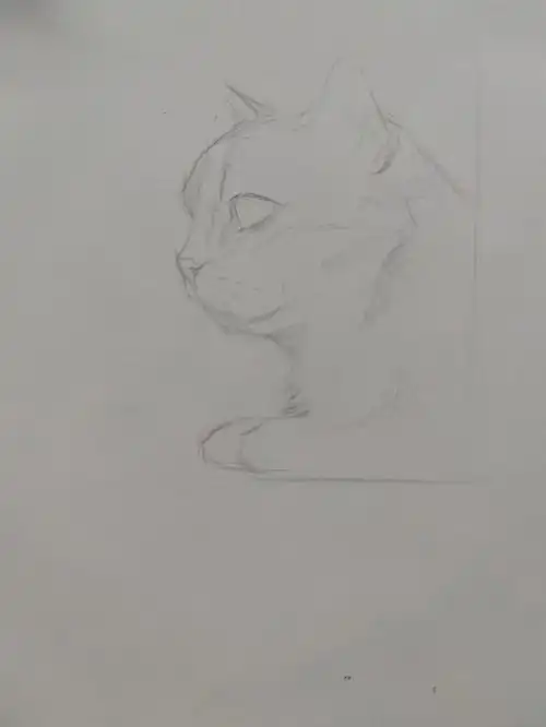 素描小猫步骤