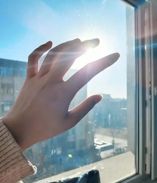 午后窗边伸手抚摸阳光