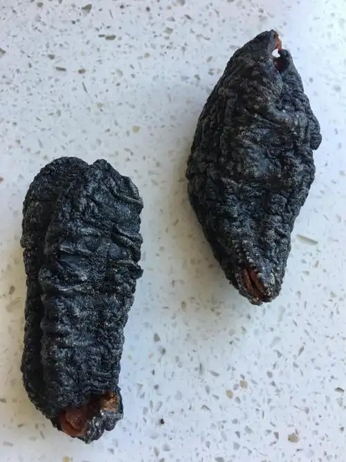 货源!纯正野生海参为何特别醒"斤斤量量" 第2张