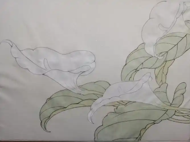 马蹄莲绘制步骤