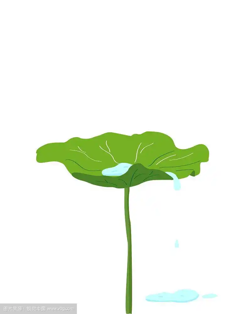 荷叶矢量插画元素