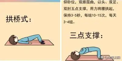 锻炼应循序渐进,先进行五点支撑,适应强度后,再进行三点支撑,最后再