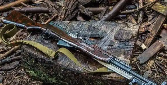 当时像美国m1伽兰德和德国stg44等先进自动步枪,它们在战场上和老式栓