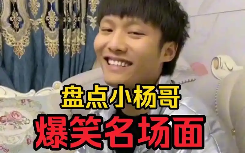 【疯狂小杨哥】盘点疯狂小杨哥爆笑名场面,吃饭休息熬夜必备