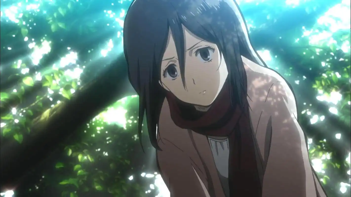 求三笠的这张图高清壁纸大图.