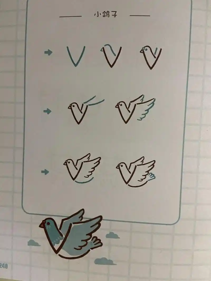 鸽子简笔画