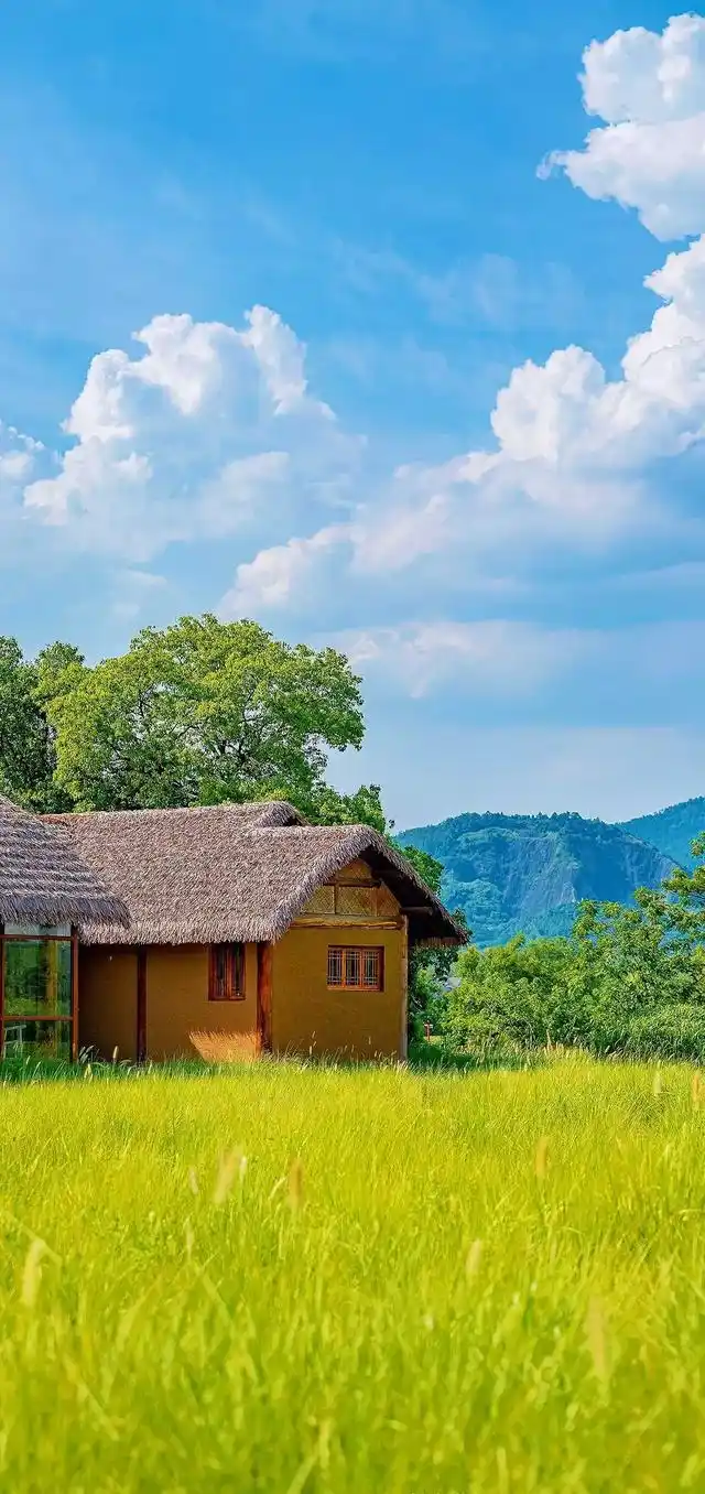 乡村田园风光全面屏手机壁纸
