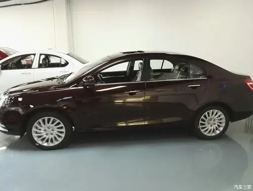 深咖啡色顶配版实拍_帝豪论坛_汽车之家论坛