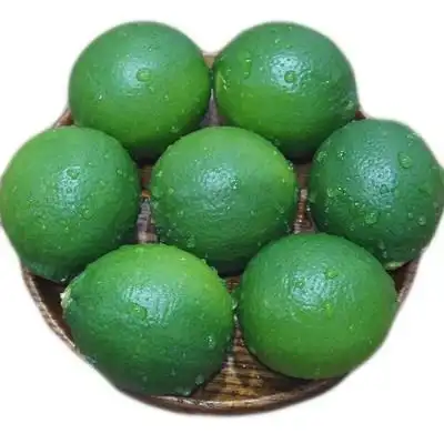 泰国无籽青柠檬新鲜薄皮小青柠泰国品种餐饮奶茶店5斤净重包邮