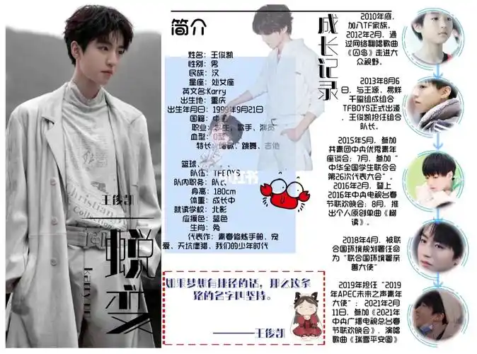 关于王俊凯的手帐