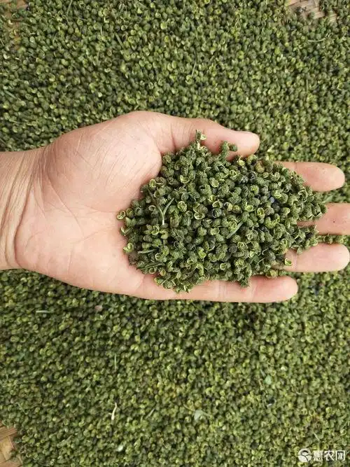 青花椒 二级 干花椒