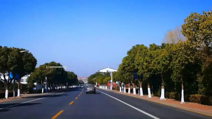 【前面展望】跨省行车记录-江苏段(庙震桃公路-南太湖大道)风景线路