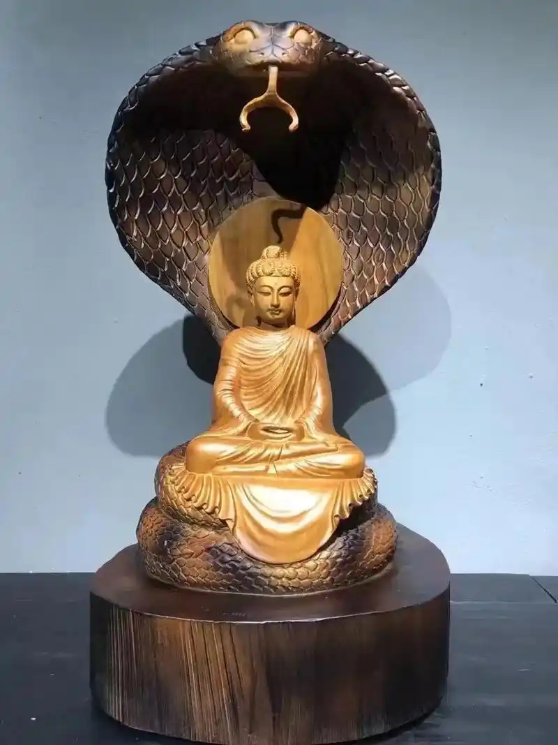 佛头释迦摩尼佛菩提树下修行遇见下雨眼镜蛇与释迦摩尼佛遮风挡雨蛇