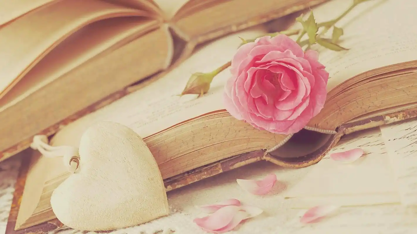 书香一瓣唯美温馨高清壁纸高清大图预览1920x1080_设计创意下载_美桌