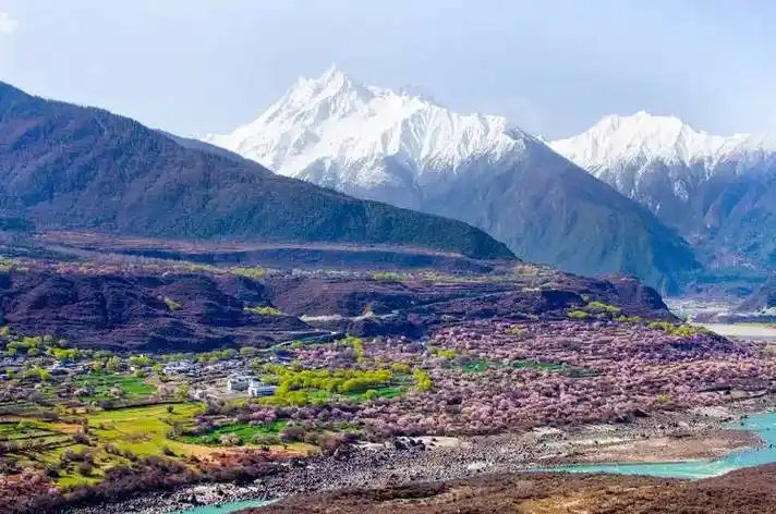 春天林芝波密赏花攻略,拉萨 林芝6天5夜自由行拼车小团_桃花源_索松村