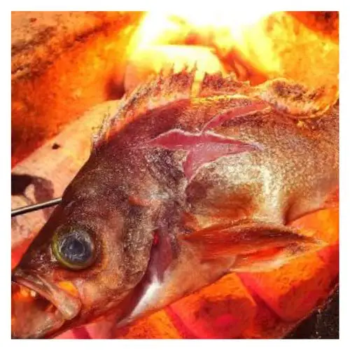 创作屋 港町 照片第1页(1件～40件) (药院/居酒屋) - gurunavi 日本