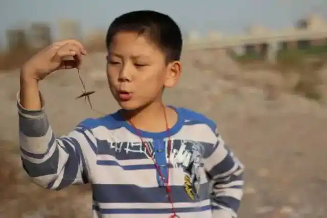 没事的时候,哥也没少捅马蜂窝.