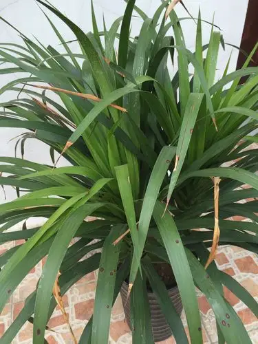 麻烦懂的人帮我看看!