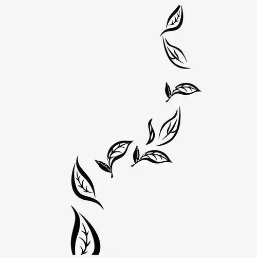 中国茶叶简笔画