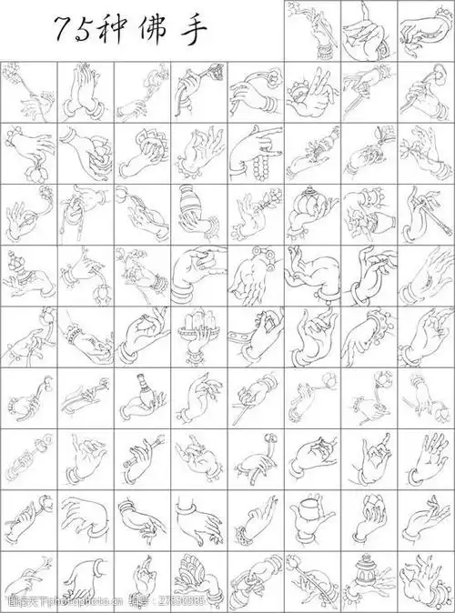 75种佛手psd每个佛手一个文件清晰