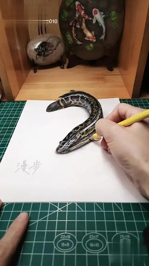 3d立体画黑鱼,立体画让它活了,看看怎么活的.