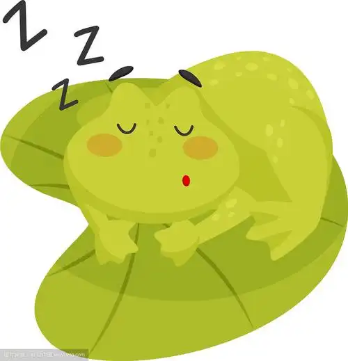 可爱的青蛙睡在荷叶上可爱的绿色